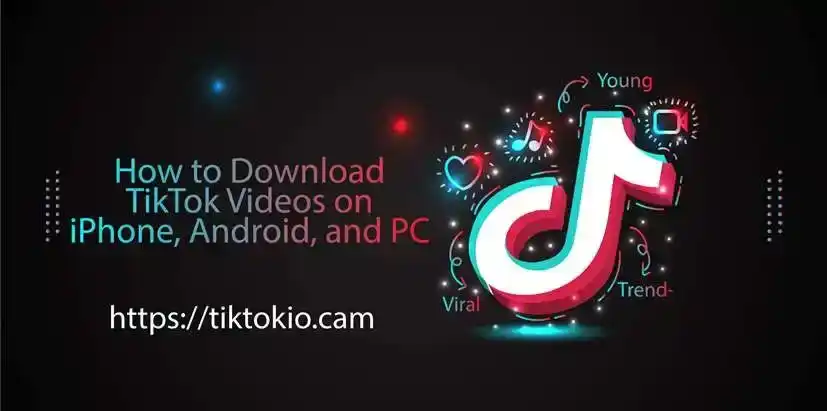 Tiktokio-Tiktok Downlaoder